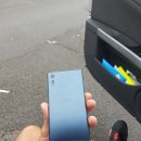 F8331 브런치