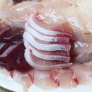 싱싱회타운 이미지