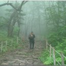 목통마을 내 이미지