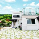 가평금잔디 이미지