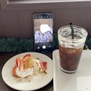 전주한옥마을카페추천 트리가 예쁜 알레스포드