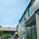 호우주의보 크로아상(Rainreport Croissant) 이미지