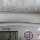 파우티