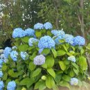 충경식당 이미지