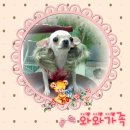 패밀리와와 이미지