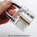 락스포츠 이미지