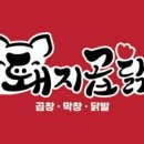 돼지곱닭 이미지