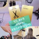 전주 효자동 미용실 더원헤어 4단계 모발 크리닉 후기