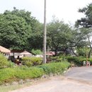 유천농장 이미지