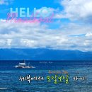 [세부 한달살기] 세부에서 모알보알로 그랩 이용 후기