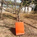 설화수 자음 퍼펙팅 2종, 37세 여자 사용 후기!