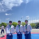 탑 태권도 전문도장 이미지