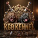 KGB KENNEL 네이버블로그