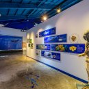 제주해양동물박물관 이미지