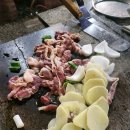 연신오리 이미지