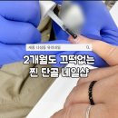 나성동_어반아트리움 거치대 | 세종 나성동 네일 추천, 유지력 좋은 유리네일 내돈내산 자석젤 후기