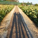 여주-0909 이미지