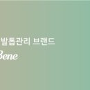 타임네일 페디베네 이미지