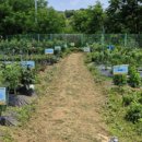 유성농장 이미지