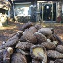 이정인농장 이미지