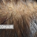 네오헤어살롱 이미지