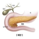 오른쪽으로 누워서 자는 습관은 바꿔야... 이미지