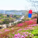 4월 25일 (토) 군포 철쭉동산/인공폭포 이미지