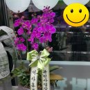 화원세탁빨래방 이미지