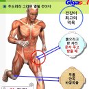 덜 뚫어진 멍자국들~비장의 반응과 복사뼈 그리고 무릎 이미지