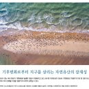 기후변화로부터 지구를 살리는 자연유산의 잠재성 이미지