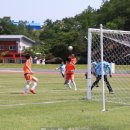 영양군 생활체육공원 축구장 이미지