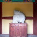 곰사당 이미지