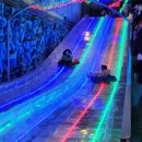 아이스뮤지엄 | 제주 얼음썰매 아이스뮤지엄 후기