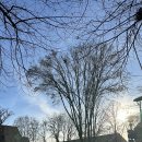 구텐모르겐 | 🇩🇪Day 1 - 당케쉔과 슐디궁