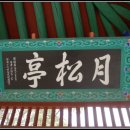 월송정月松亭 이미지