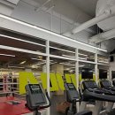 이젠피티 이미지