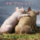 &#34;위례둘레길 산책&#34;＜2019.02.04(월)＞ 이미지