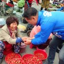 다모아수산물센타