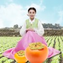 영동감 협동조합 이미지