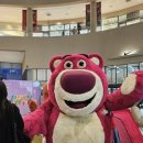 퍼피아울렛코리아 이미지