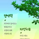 동해시-50 이미지