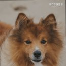 두리동물병원 이미지