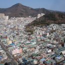 대림 프라자 골프연습장 Daum카페