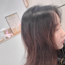 [상계] 노원역 미용실 유목민 탈출, 상계동미장원