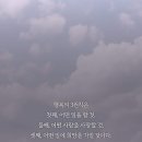 에코힐링 이미지