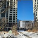 내일공인중개사사무소 이미지