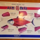 효탄新참치