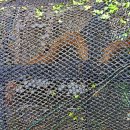 비암농장 이미지