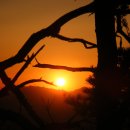 새벽노을 이미지