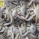 소래레 이미지